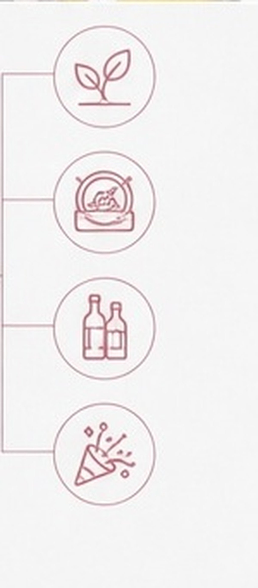 5Pcs Premium Silicone Bottle S - Wine Beer Hat 评论和价格